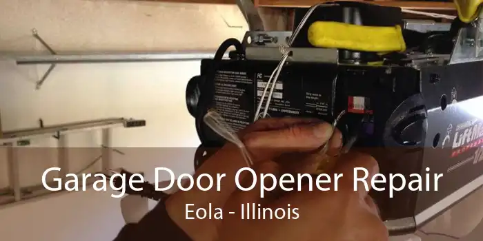 Garage Door Opener Repair Eola - Illinois