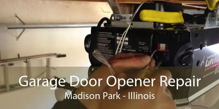 Garage Door Opener Repair Madison Park - Illinois