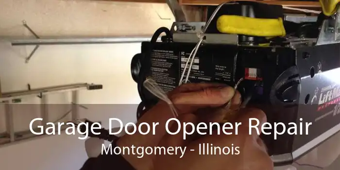 Garage Door Opener Repair Montgomery - Illinois