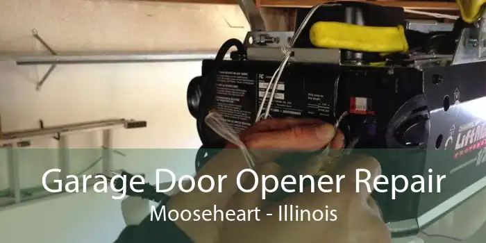 Garage Door Opener Repair Mooseheart - Illinois