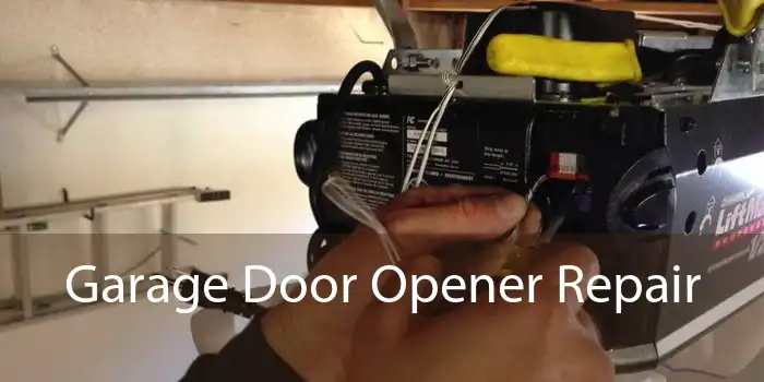 Garage Door Opener Repair 