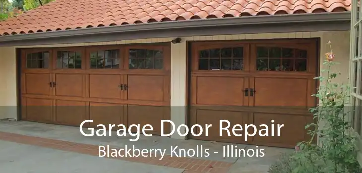 Garage Door Repair Blackberry Knolls - Illinois