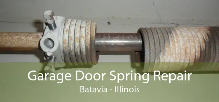 Garage Door Spring Repair Batavia - Illinois