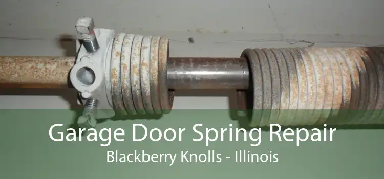 Garage Door Spring Repair Blackberry Knolls - Illinois