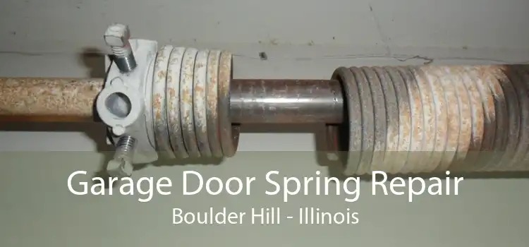 Garage Door Spring Repair Boulder Hill - Illinois