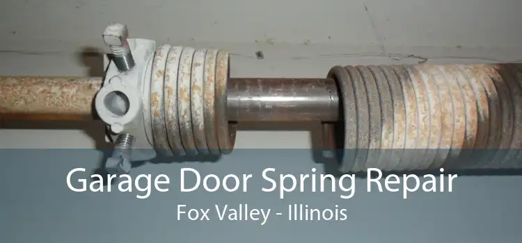 Garage Door Spring Repair Fox Valley - Illinois