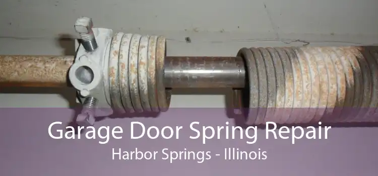 Garage Door Spring Repair Harbor Springs - Illinois