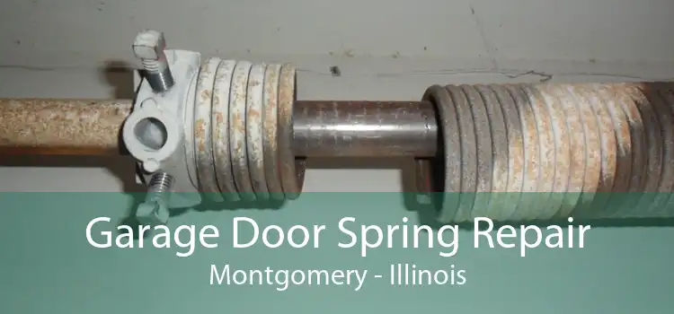 Garage Door Spring Repair Montgomery - Illinois