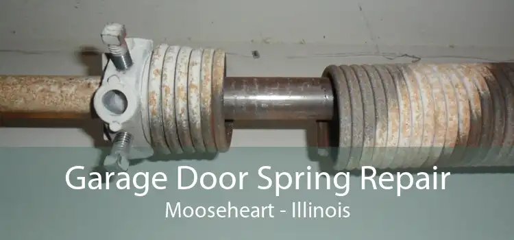 Garage Door Spring Repair Mooseheart - Illinois