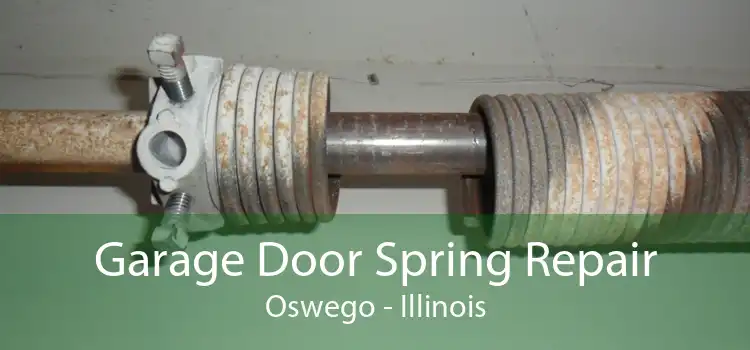 Garage Door Spring Repair Oswego - Illinois