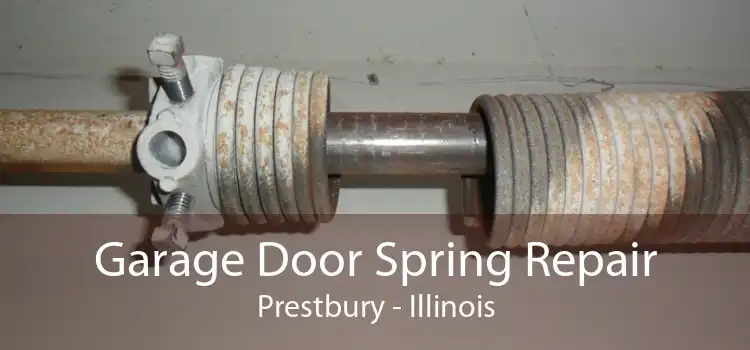 Garage Door Spring Repair Prestbury - Illinois