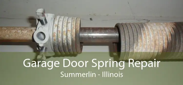 Garage Door Spring Repair Summerlin - Illinois