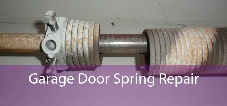 Garage Door Spring Repair 