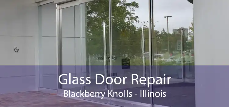 Glass Door Repair Blackberry Knolls - Illinois