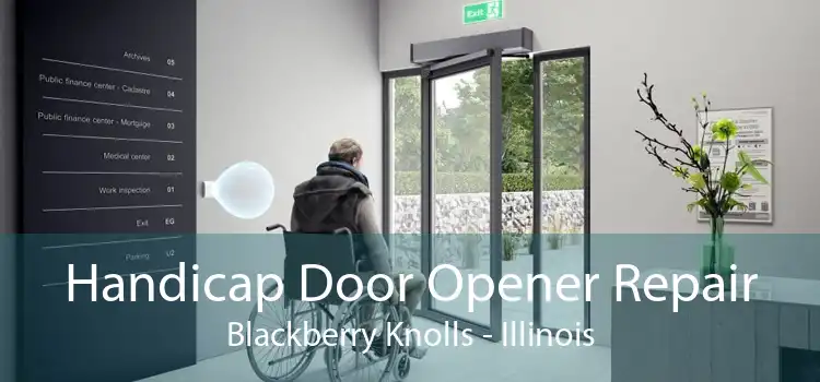 Handicap Door Opener Repair Blackberry Knolls - Illinois