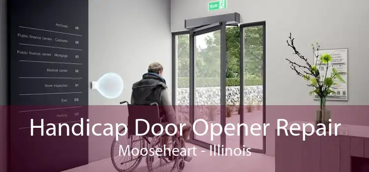 Handicap Door Opener Repair Mooseheart - Illinois