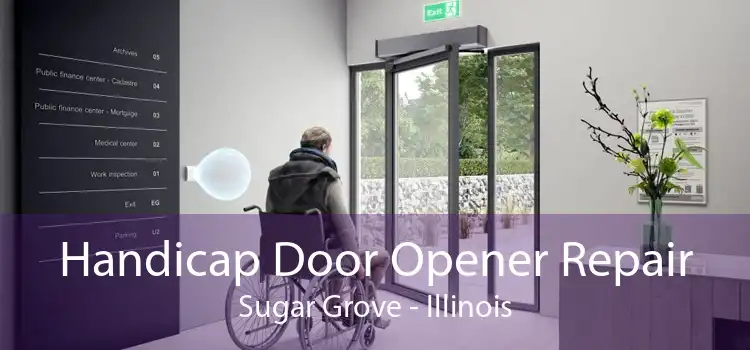 Handicap Door Opener Repair Sugar Grove - Illinois