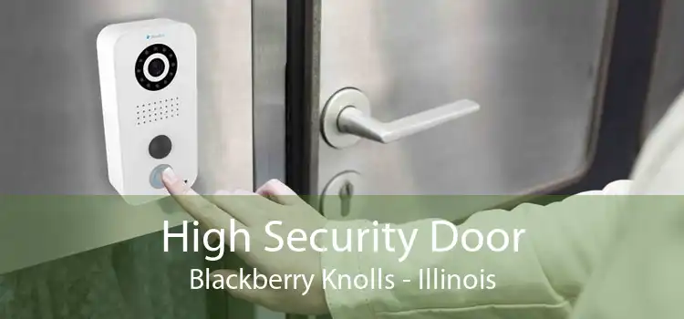 High Security Door Blackberry Knolls - Illinois