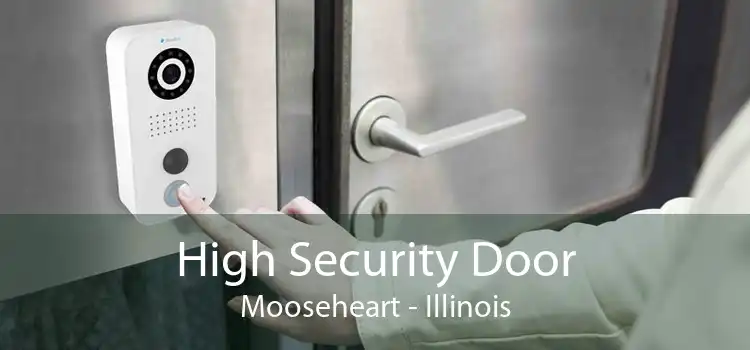 High Security Door Mooseheart - Illinois