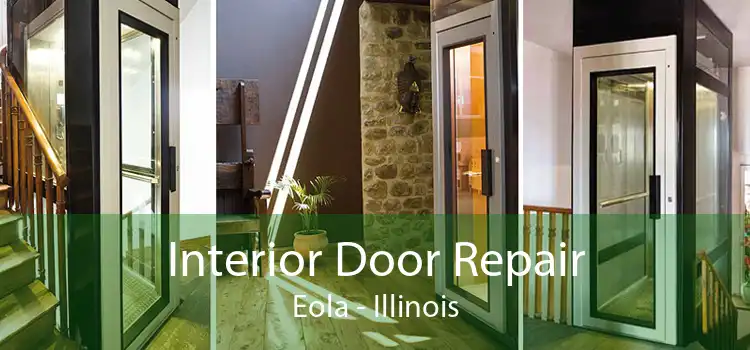 Interior Door Repair Eola - Illinois