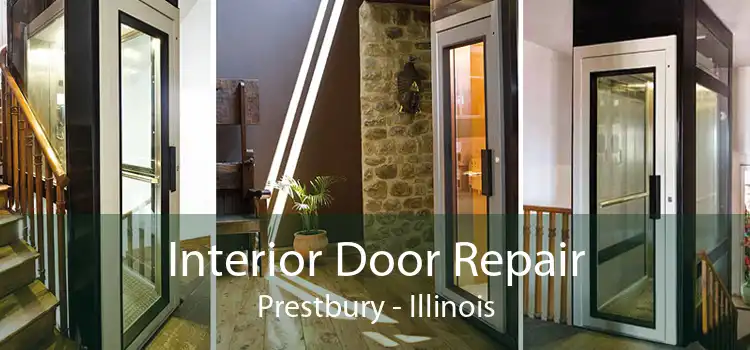 Interior Door Repair Prestbury - Illinois