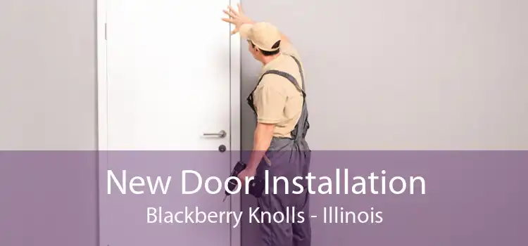 New Door Installation Blackberry Knolls - Illinois