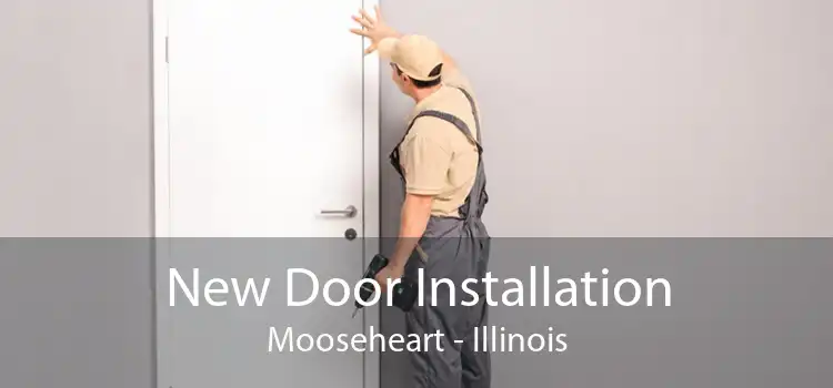 New Door Installation Mooseheart - Illinois