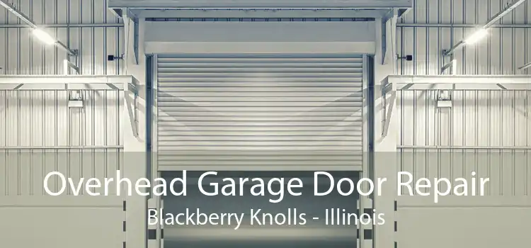 Overhead Garage Door Repair Blackberry Knolls - Illinois