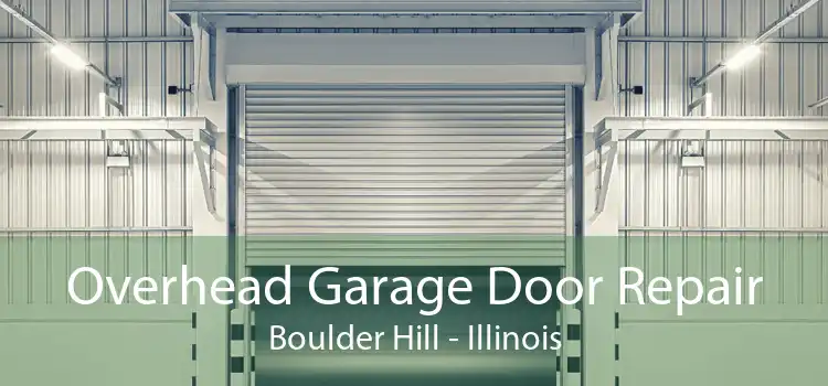 Overhead Garage Door Repair Boulder Hill - Illinois