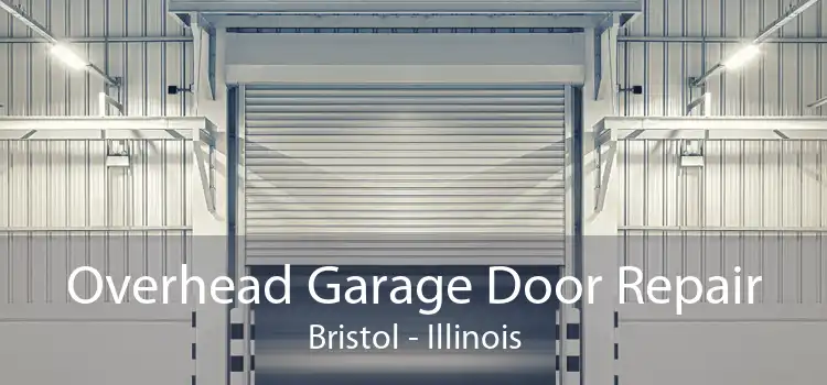 Overhead Garage Door Repair Bristol - Illinois