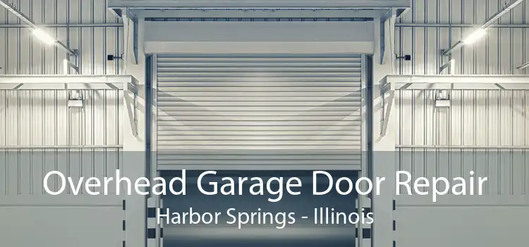 Overhead Garage Door Repair Harbor Springs - Illinois