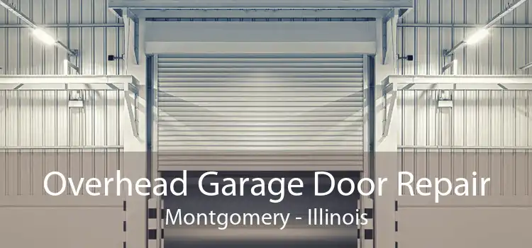 Overhead Garage Door Repair Montgomery - Illinois