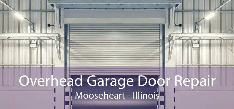 Overhead Garage Door Repair Mooseheart - Illinois