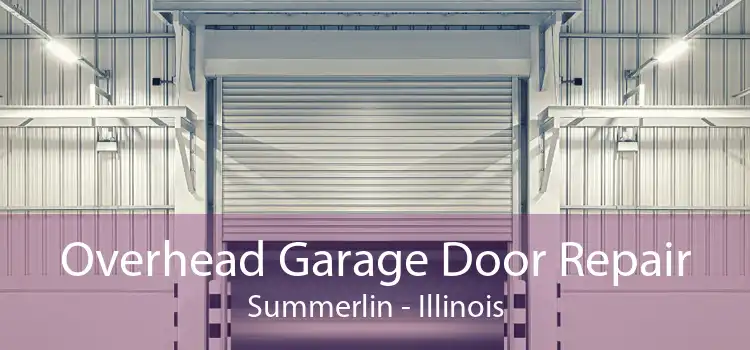 Overhead Garage Door Repair Summerlin - Illinois