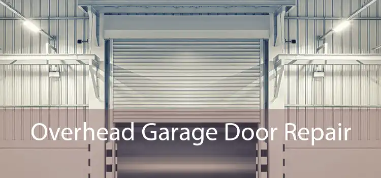 Overhead Garage Door Repair 