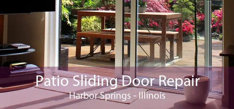 Patio Sliding Door Repair Harbor Springs - Illinois