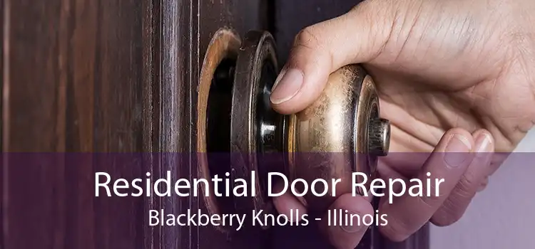 Residential Door Repair Blackberry Knolls - Illinois