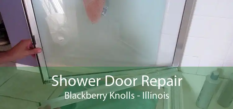 Shower Door Repair Blackberry Knolls - Illinois