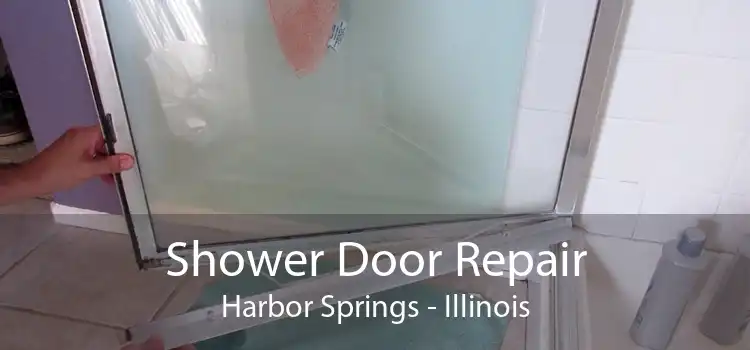 Shower Door Repair Harbor Springs - Illinois