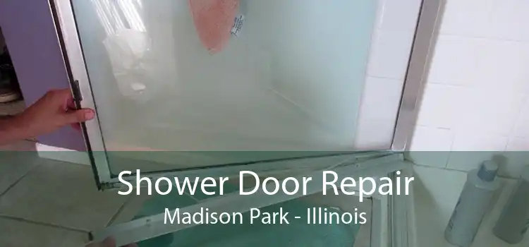 Shower Door Repair Madison Park - Illinois