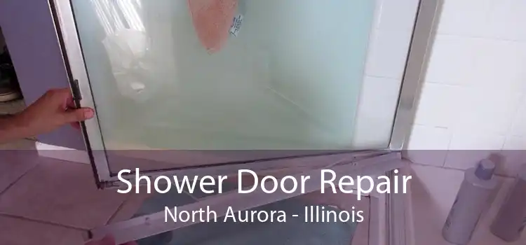 Shower Door Repair North Aurora - Illinois