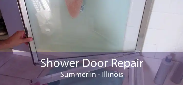 Shower Door Repair Summerlin - Illinois