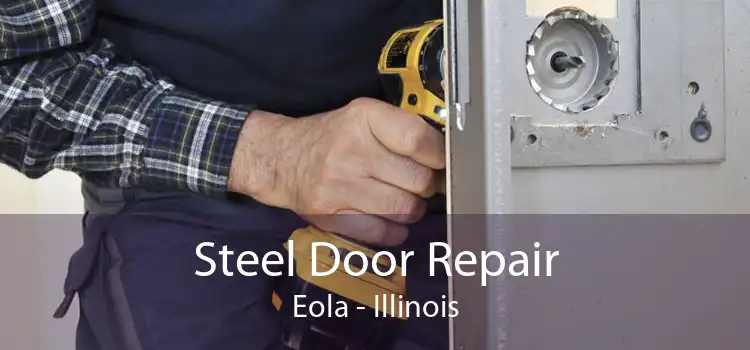 Steel Door Repair Eola - Illinois