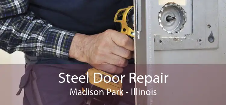 Steel Door Repair Madison Park - Illinois