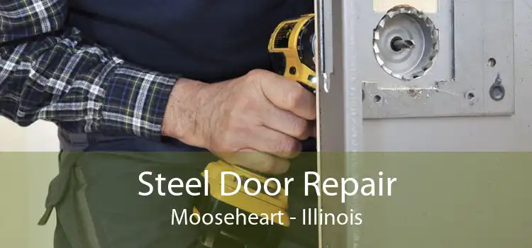 Steel Door Repair Mooseheart - Illinois