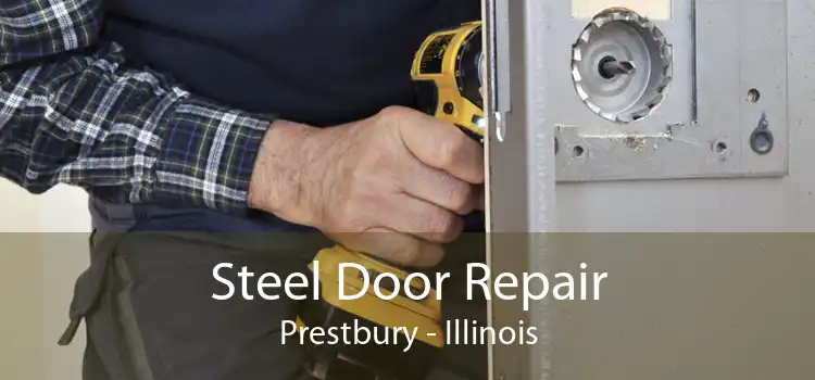 Steel Door Repair Prestbury - Illinois