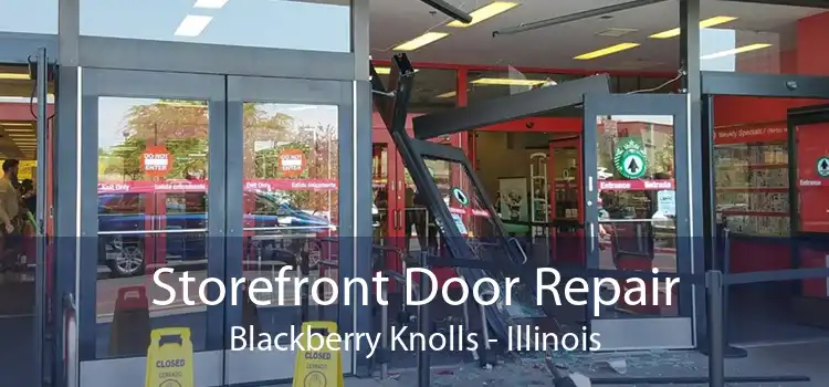 Storefront Door Repair Blackberry Knolls - Illinois