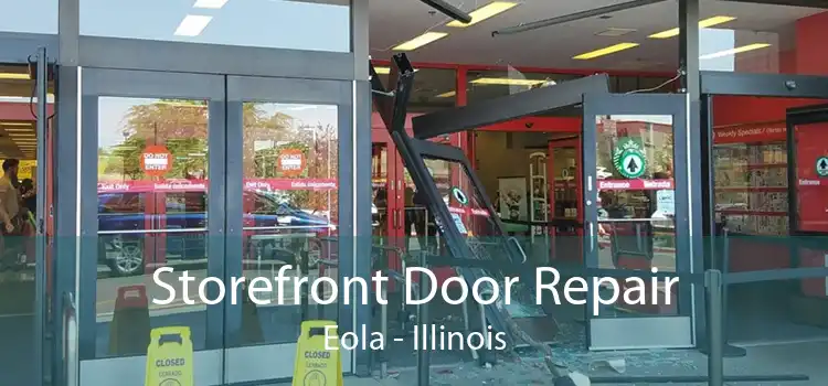 Storefront Door Repair Eola - Illinois