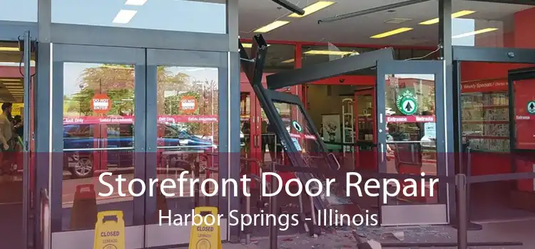 Storefront Door Repair Harbor Springs - Illinois