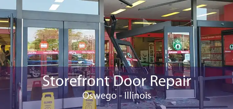 Storefront Door Repair Oswego - Illinois